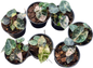Alocasia Heart Balloon Pink Variegated (Set of 5)