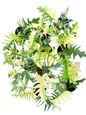 Philodendron Florida Beauty x Tortum Variegated – Set of 10 Plants