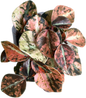 Peperomia Metallic Orange – Wholesale Set of 3 Plants
